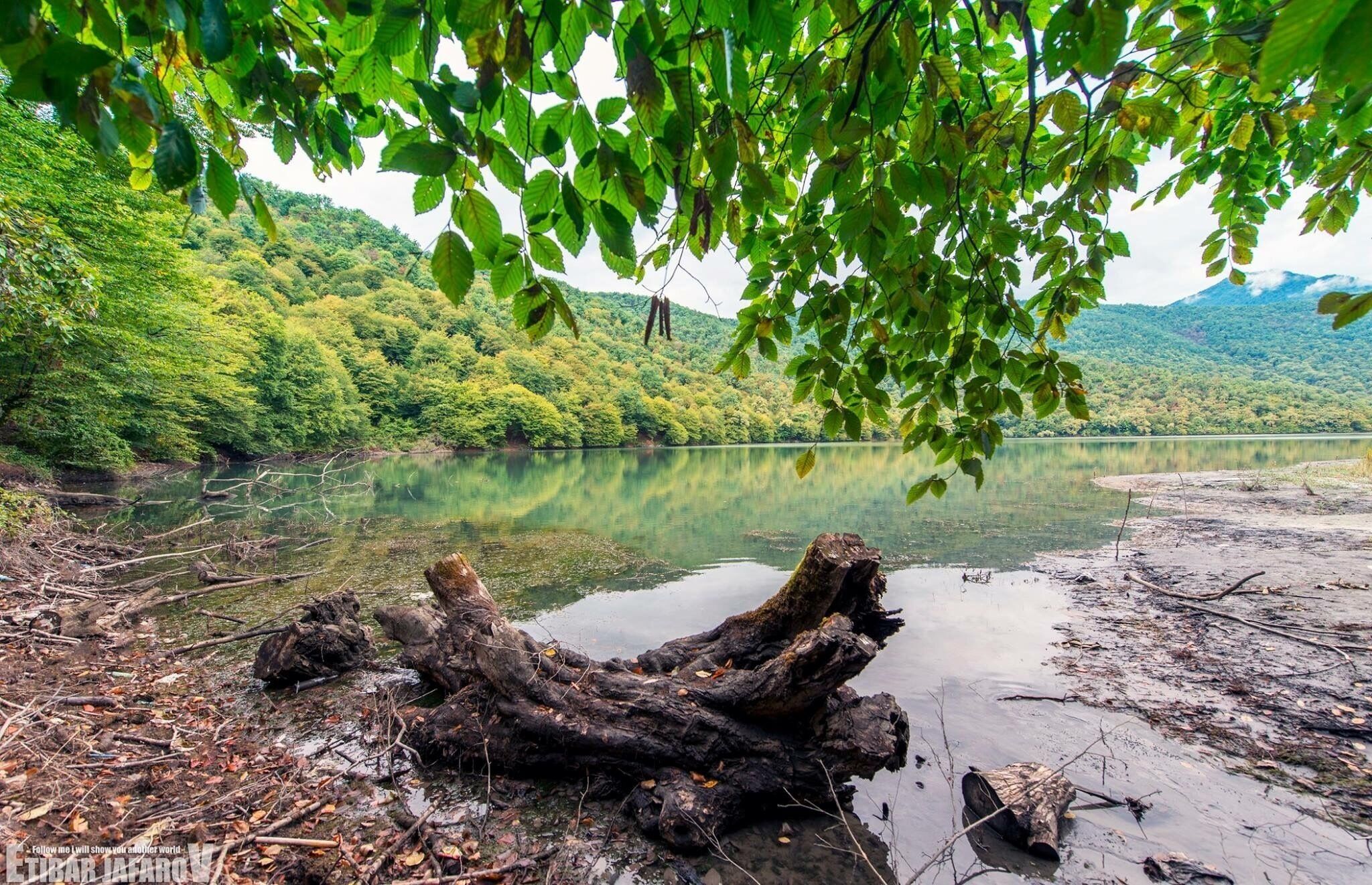 A riverbank with a fallen tree trunk, surrounded by lush greenery and hills in the background.