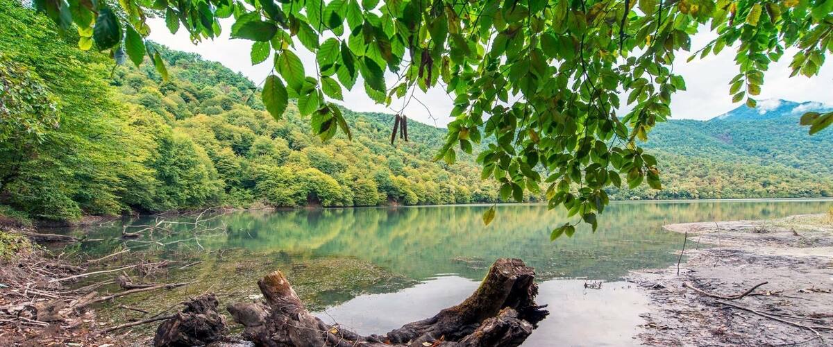 A riverbank with a fallen tree trunk, surrounded by lush greenery and hills in the background.
