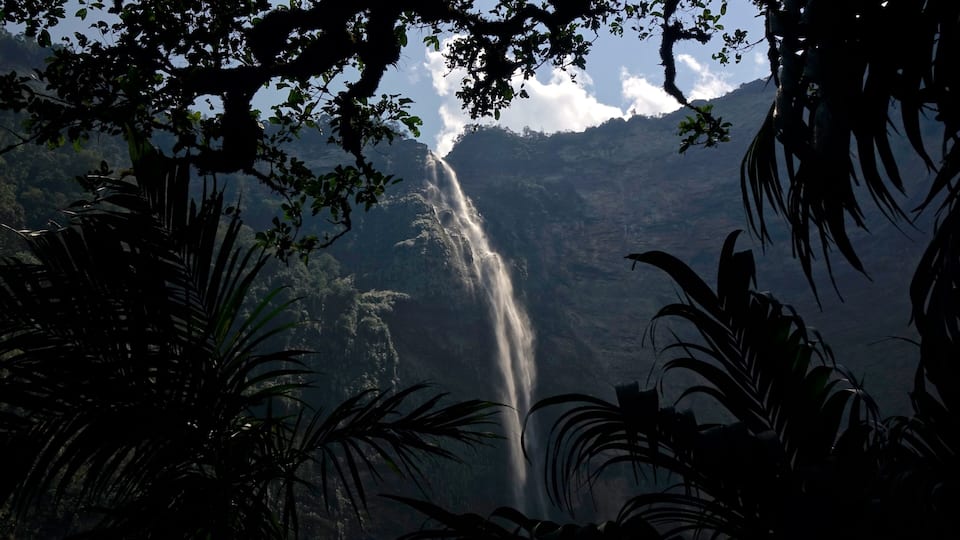 A waterfall cascading down a steep cliff surrounded by dense foliage.