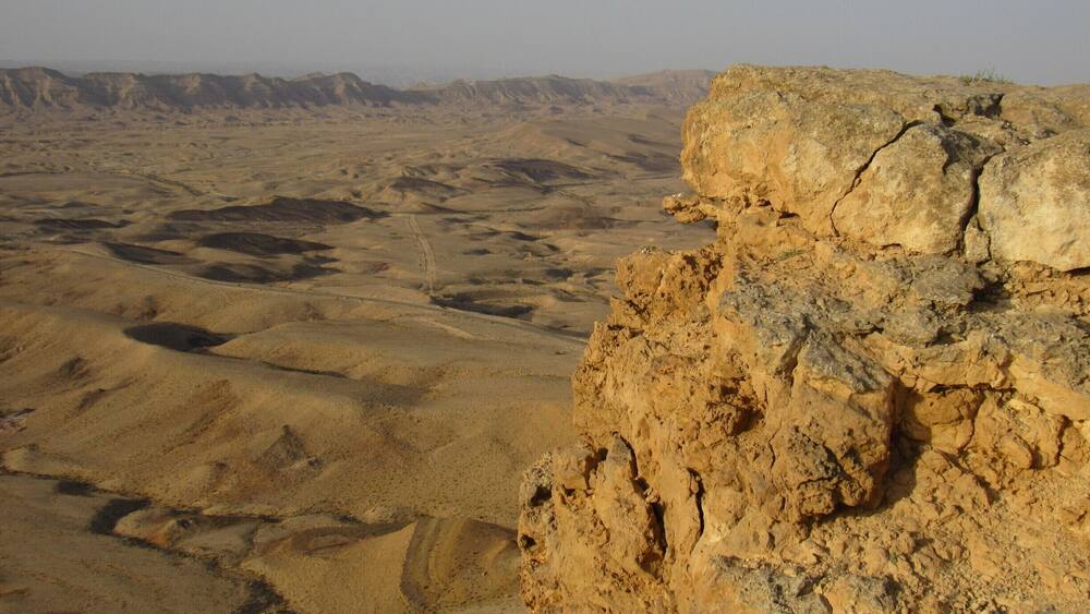 There's nothing quite like the desert in the early hours of the morning. And that's exactly when you should go, early in the morning before the heat of the day sets in.