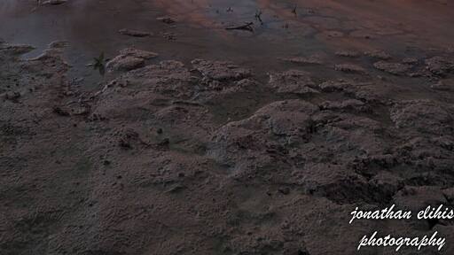 small lake at the desert wirh some kind of dirds