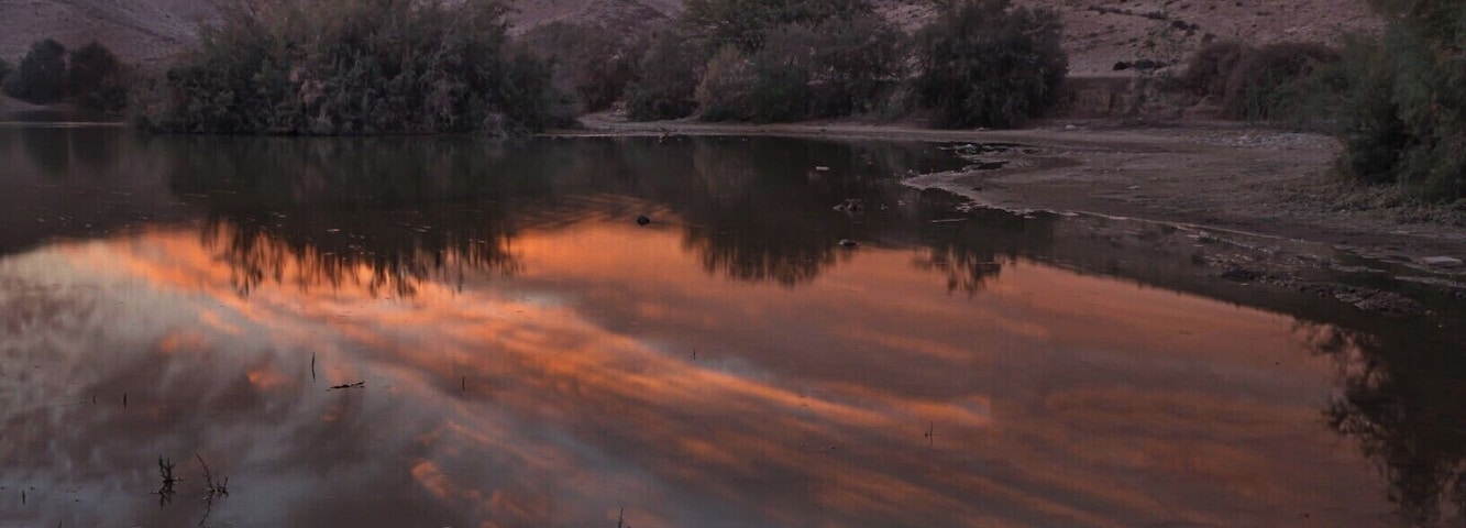 small lake at the desert wirh some kind of dirds