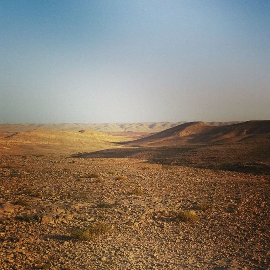 There's nothing quite like the desert in the early hours of the morning. And that's exactly when you should go, early in the morning before the heat of the day sets in.