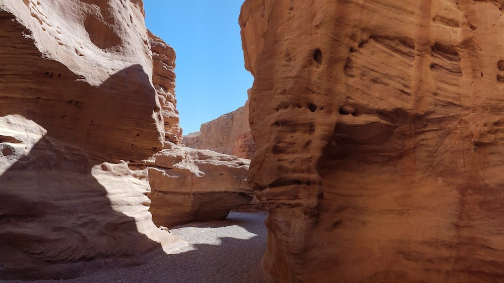 A narrow canyon with towering sandstone walls and a clear blue sky.
