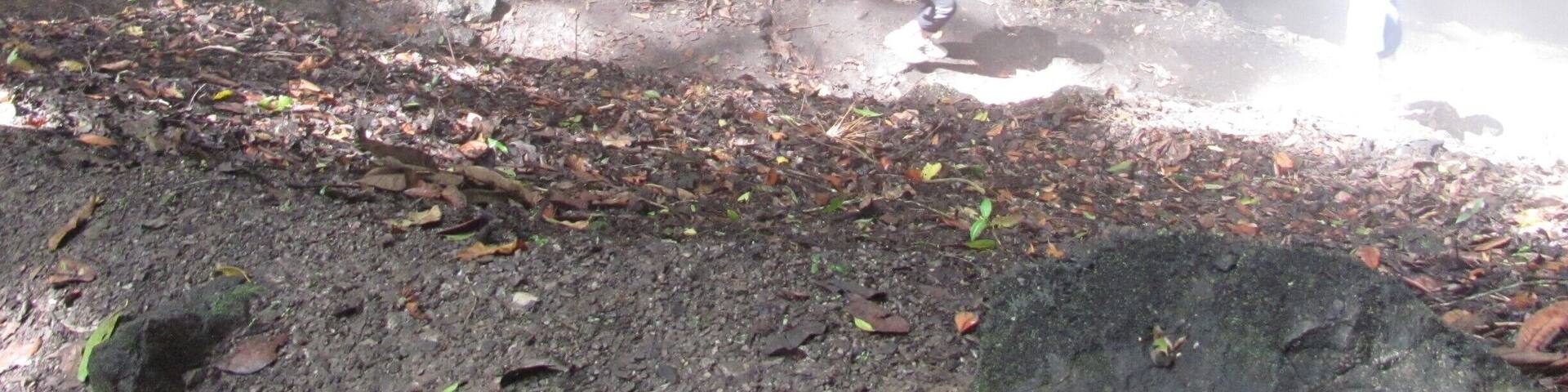 Going down into a sinkhole where it becomes nearly pitch black at the bottom. This sinkhole epitomizes light and darkness and beauty and is thought to have spiritual significance by the locals.