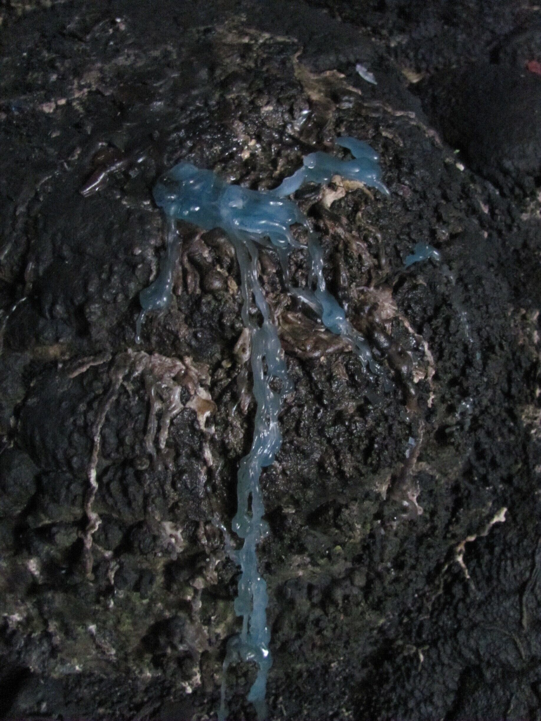 Leftover candle wax from a recent worship session. At the bottom of the sinkhole.