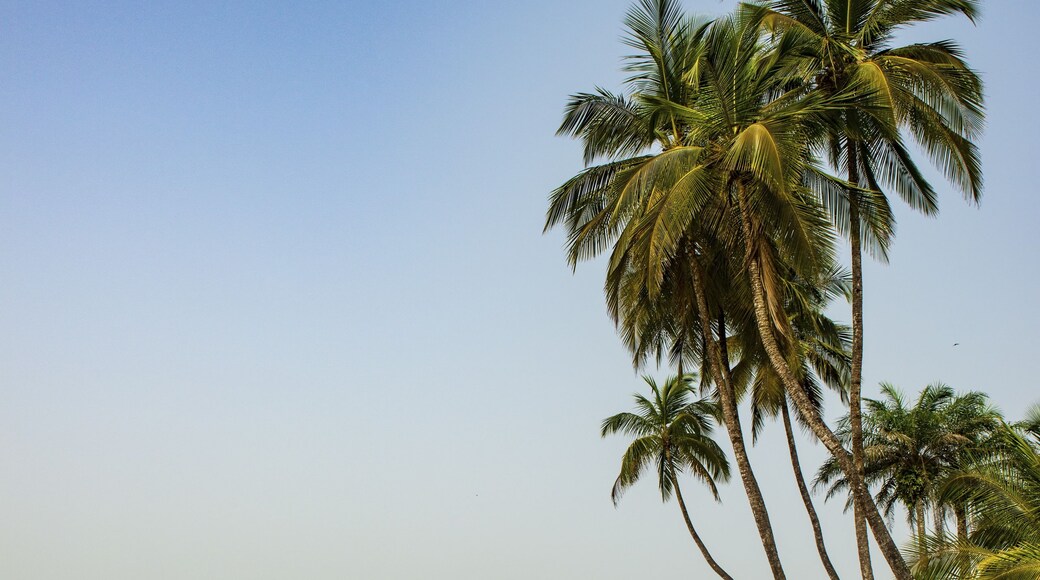 Buchanan