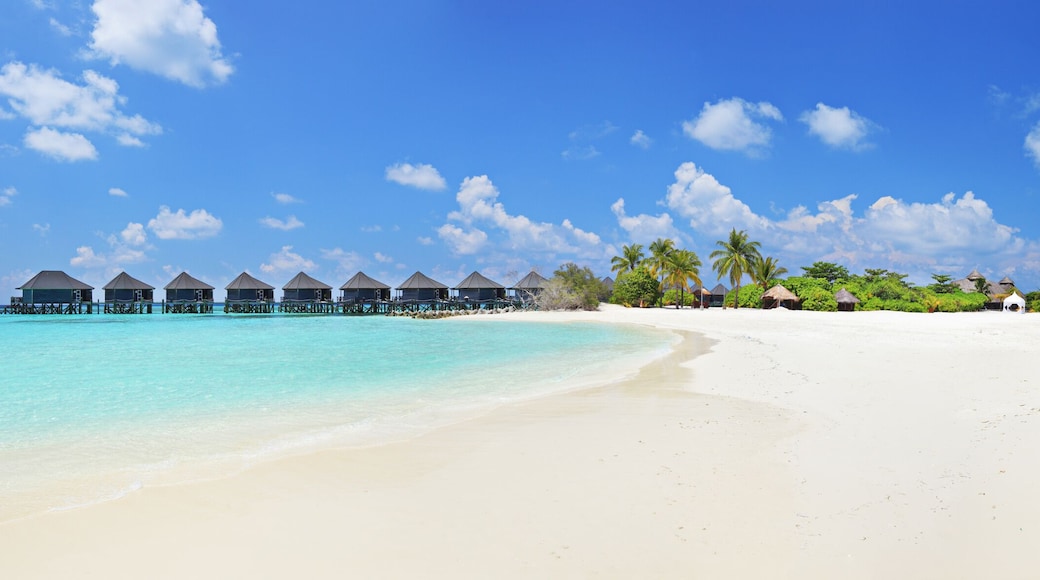 Panorama shot of a tropical islandl, Maldives on a sunny day