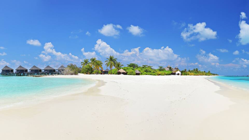 A beach with overwater bungalows and palm trees.