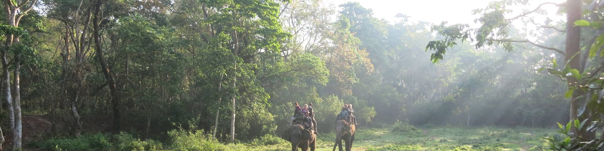 Elephant Tour At Chitwan National Park Nepal