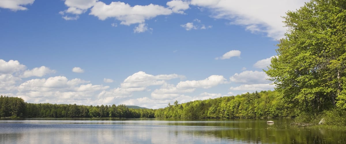 A calm lake surrounded by dense green forest and a clear blue sky with scattered clouds.