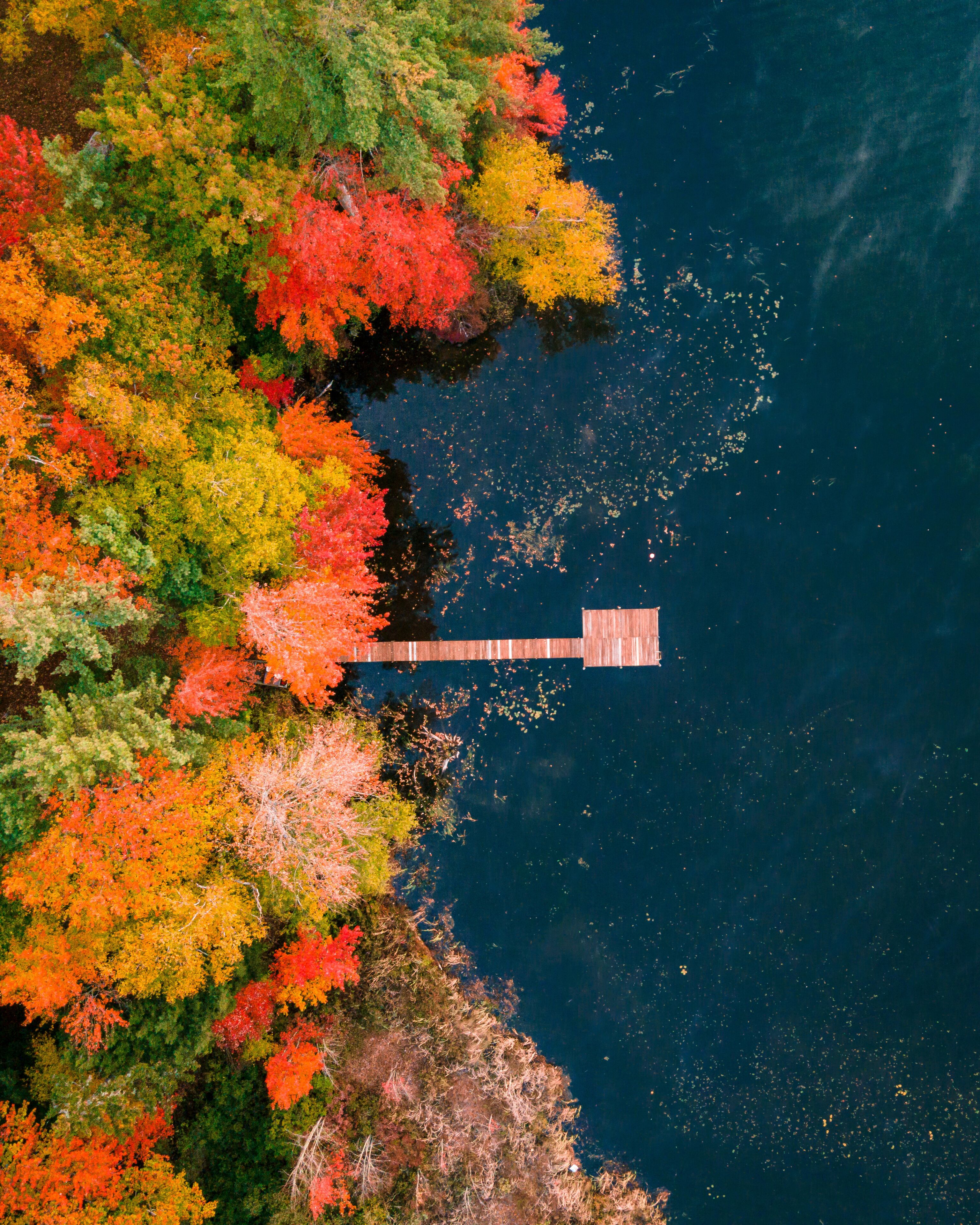 Aerial view of colorful autumn foliage surrounding North Pond with a wooden dock, Bryant Pond, Maine, United States.