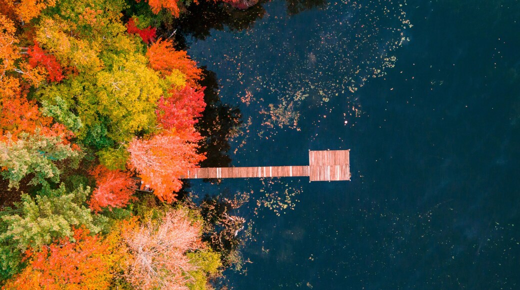 Aerial view of colorful autumn foliage surrounding North Pond with a wooden dock, Bryant Pond, Maine, United States.