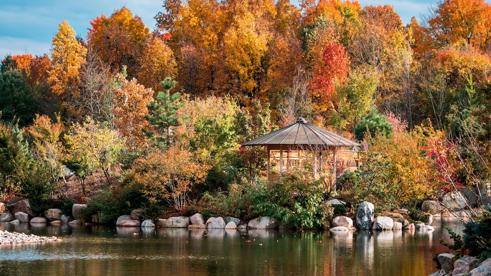 A gazebo surrounded by autumn foliage and a calm pond.