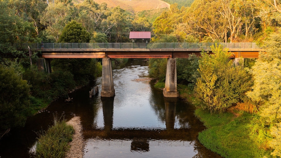 Ovens River Rail Trail Bridge showing a bridge and a river or creek