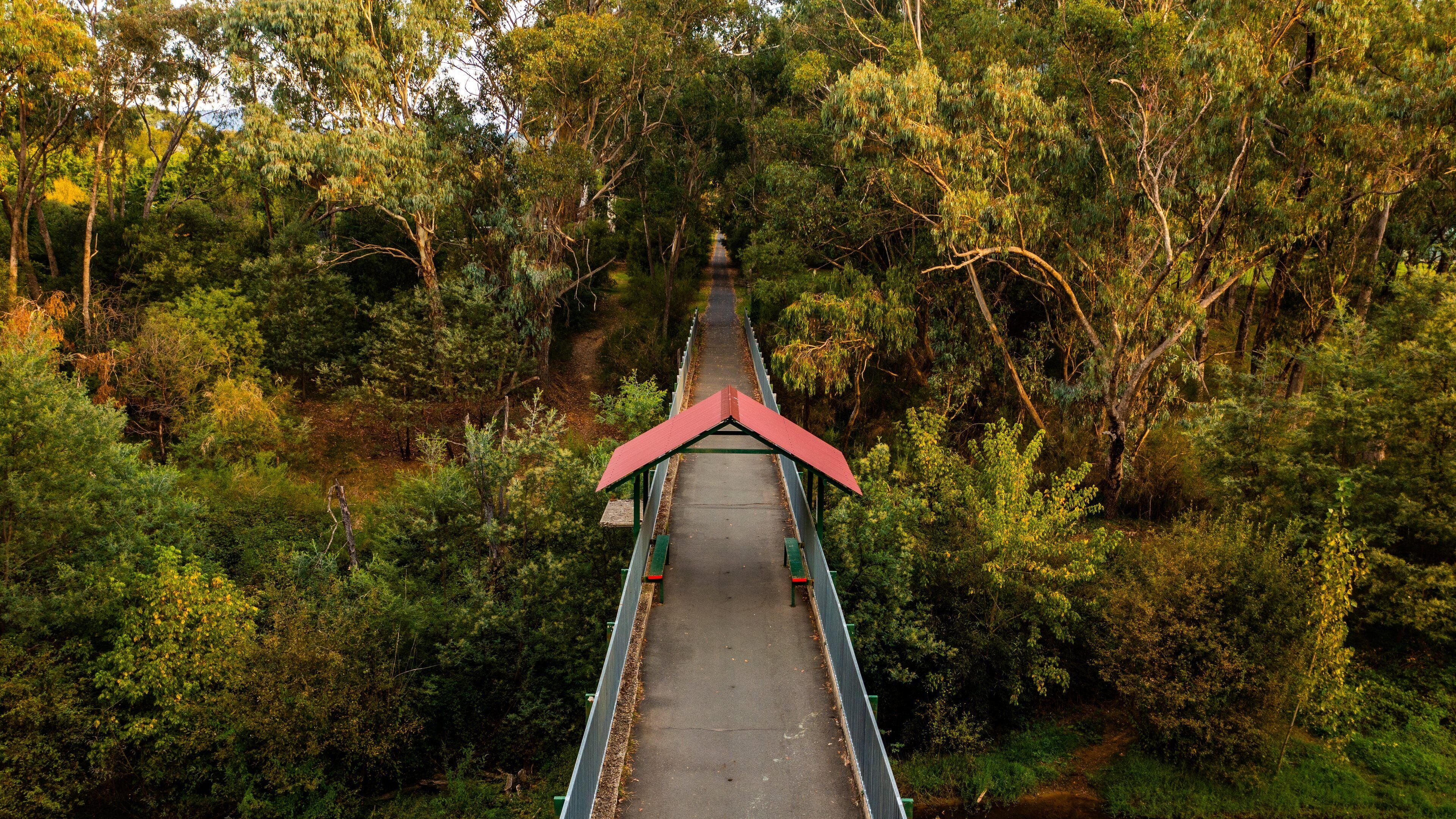 Bright featuring forest scenes