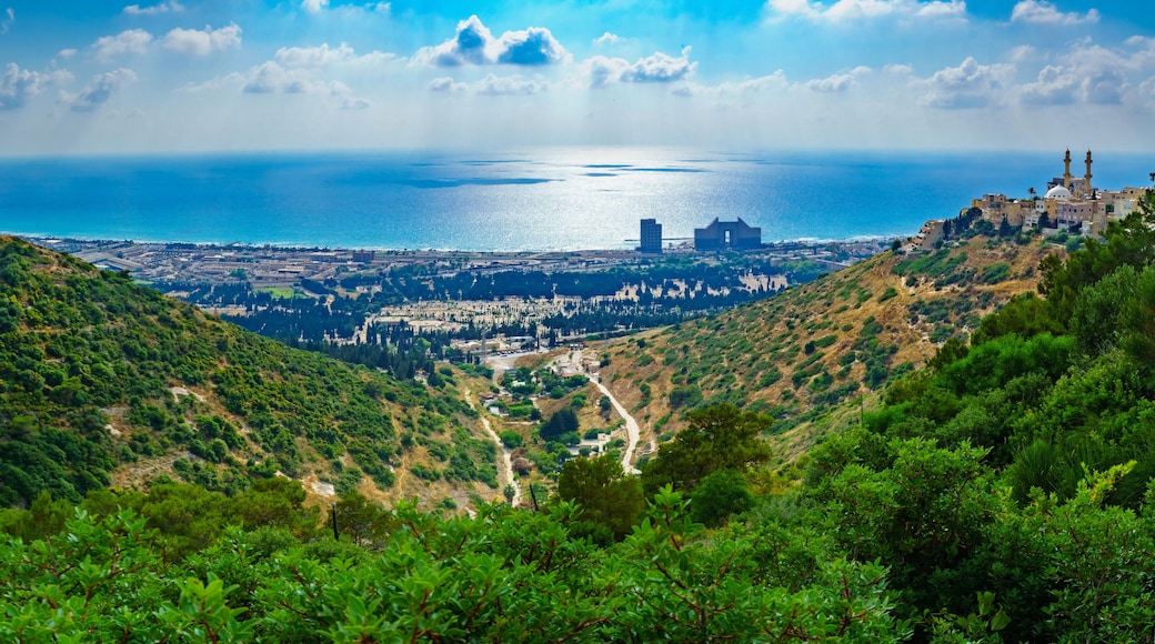 Panorama of Carmel coast, Siach valley and Mahmud mosque, Haifa
