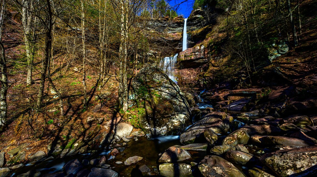 Kaaterskill Falls in Spring