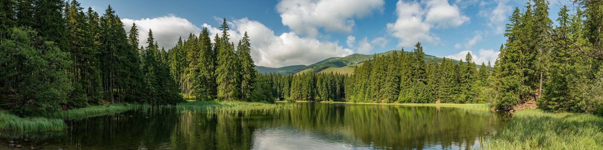 lake in the forest in lower tatra mountains