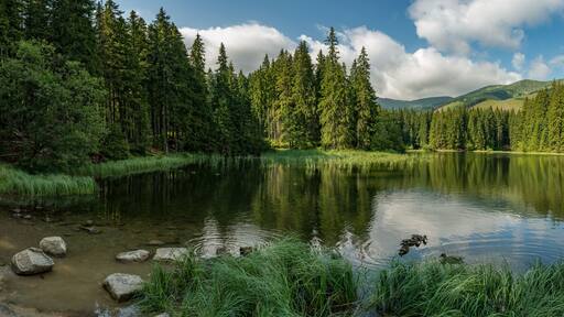 lake in the forest in lower tatra mountains