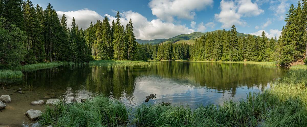 A serene lake surrounded by dense forest and mountains under a clear sky.