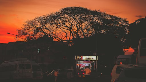 It was the first thing I saw when we landed in Goa. It felt so special and authentic with the sunrise sky.
#BvS100k