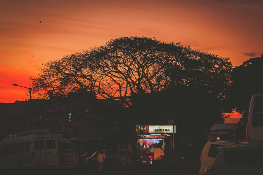 It was the first thing I saw when we landed in Goa. It felt so special and authentic with the sunrise sky.
#BvS100k