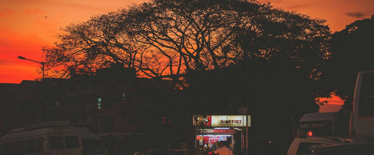 A sunset with a tree silhouetted against the sky, a street with parked vehicles, and a small shop with a sign.