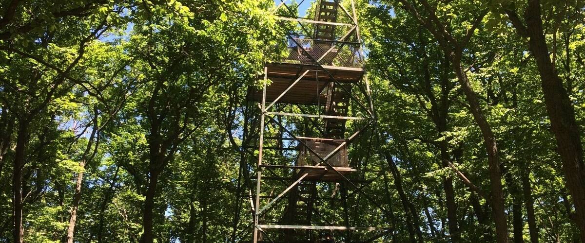 A tall wooden tower surrounded by dense green trees.
