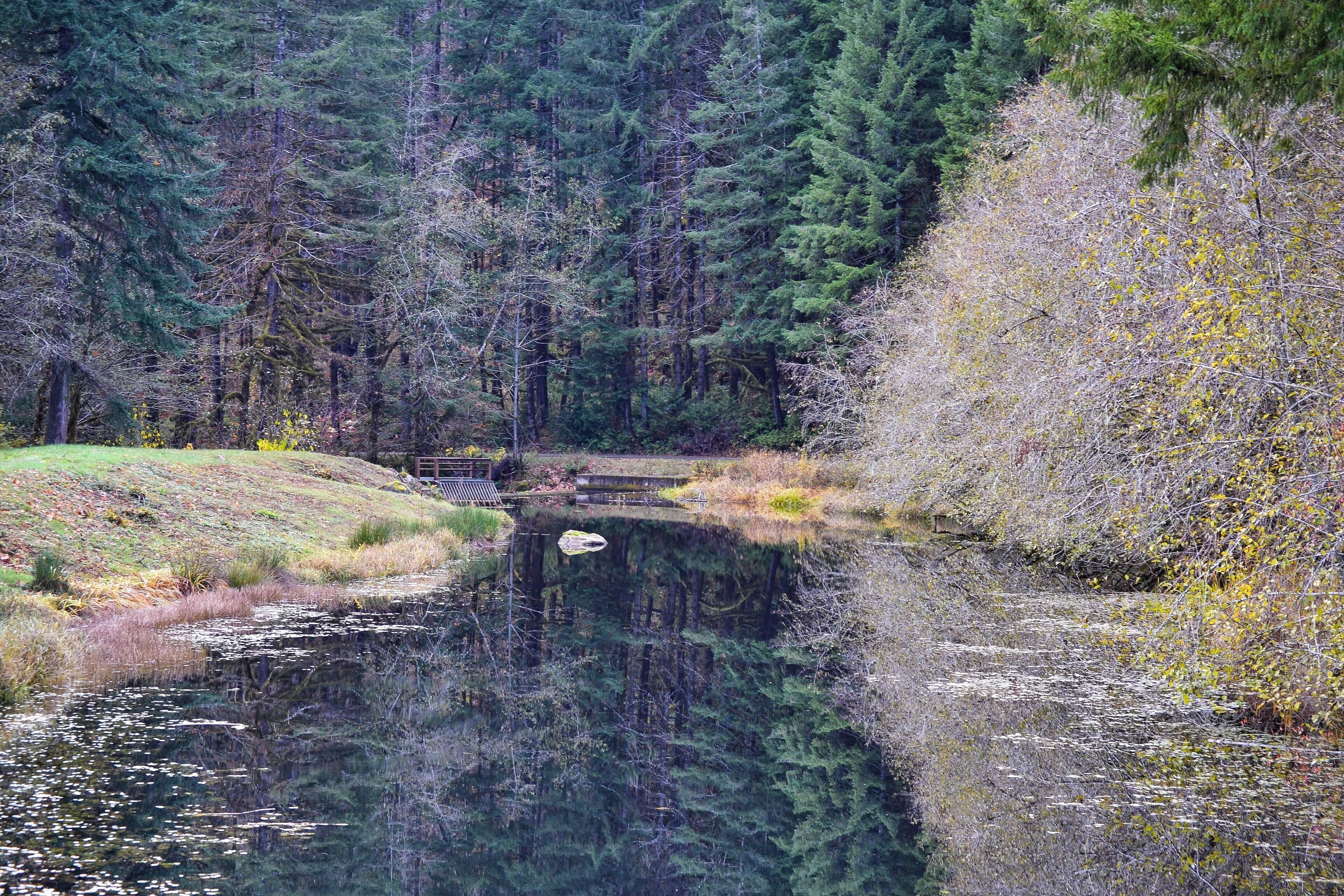 A calm river with a wooden bridge, surrounded by dense forest and autumn foliage.