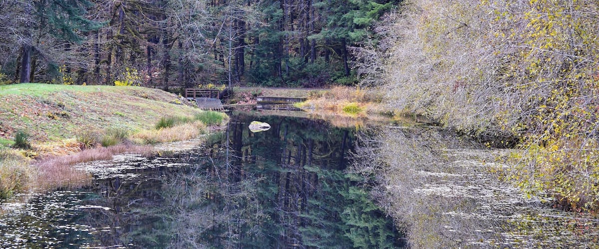 A calm river with a wooden bridge, surrounded by dense forest and autumn foliage.