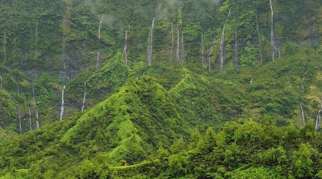 Multiple waterfalls symbolize the hair of Godess “Pere”. The valley located on Tahiti was her home before she moved to Hawai’i where she is known as “Pele”.