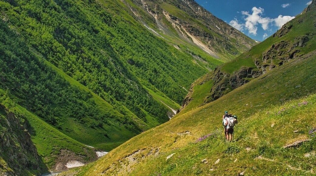 July 2010
Khvakhidistskali river valley, Tusheti region, Caucasus, Georgia
On the trek from Omalo to Tusheti, 3rd day from near Chontio towers to camp under Atsunta pass... On a sunny day you just enjoy the green megaslopes of the Caucasus...