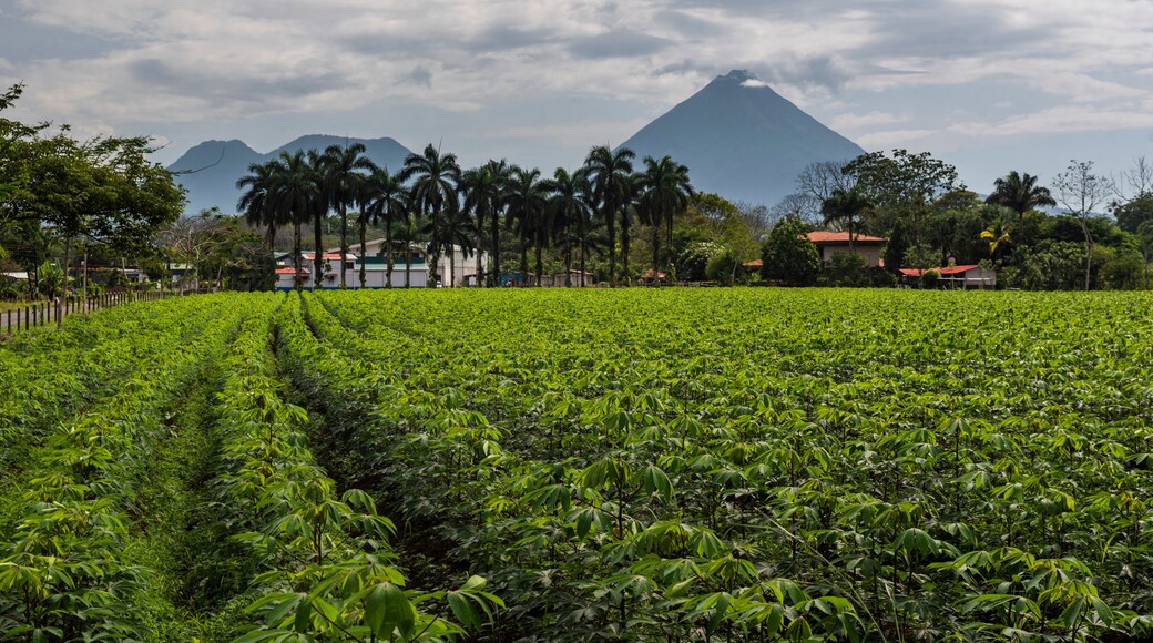 Arenal Volcano, seen from close to La Fortuna