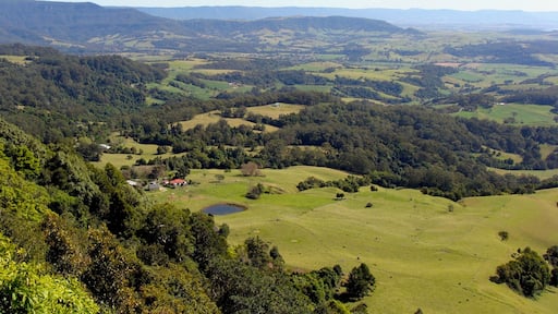 Near Kiama, NSW.
#LikeALocal
#AboveItAll