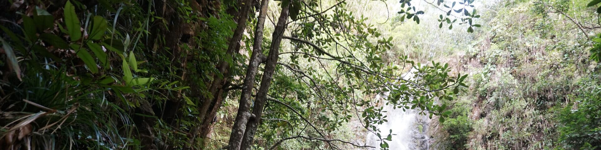 After a thirty minute #TakeAHike down a steep and slippery trail was this gorgeous waterfall called Butterfly Falls In Belize