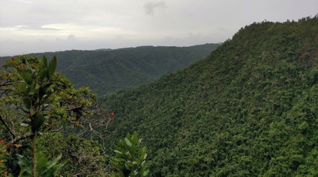 #Lifeatexpedia - Amazing views, amazing hikes. Near the Guatemala boarder in the Jungle.