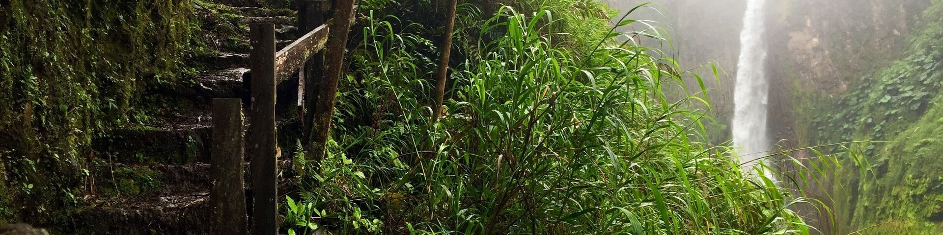 Wonderous hidden gem in Costa Rica. The most beautiful waterfall I've ever seen.