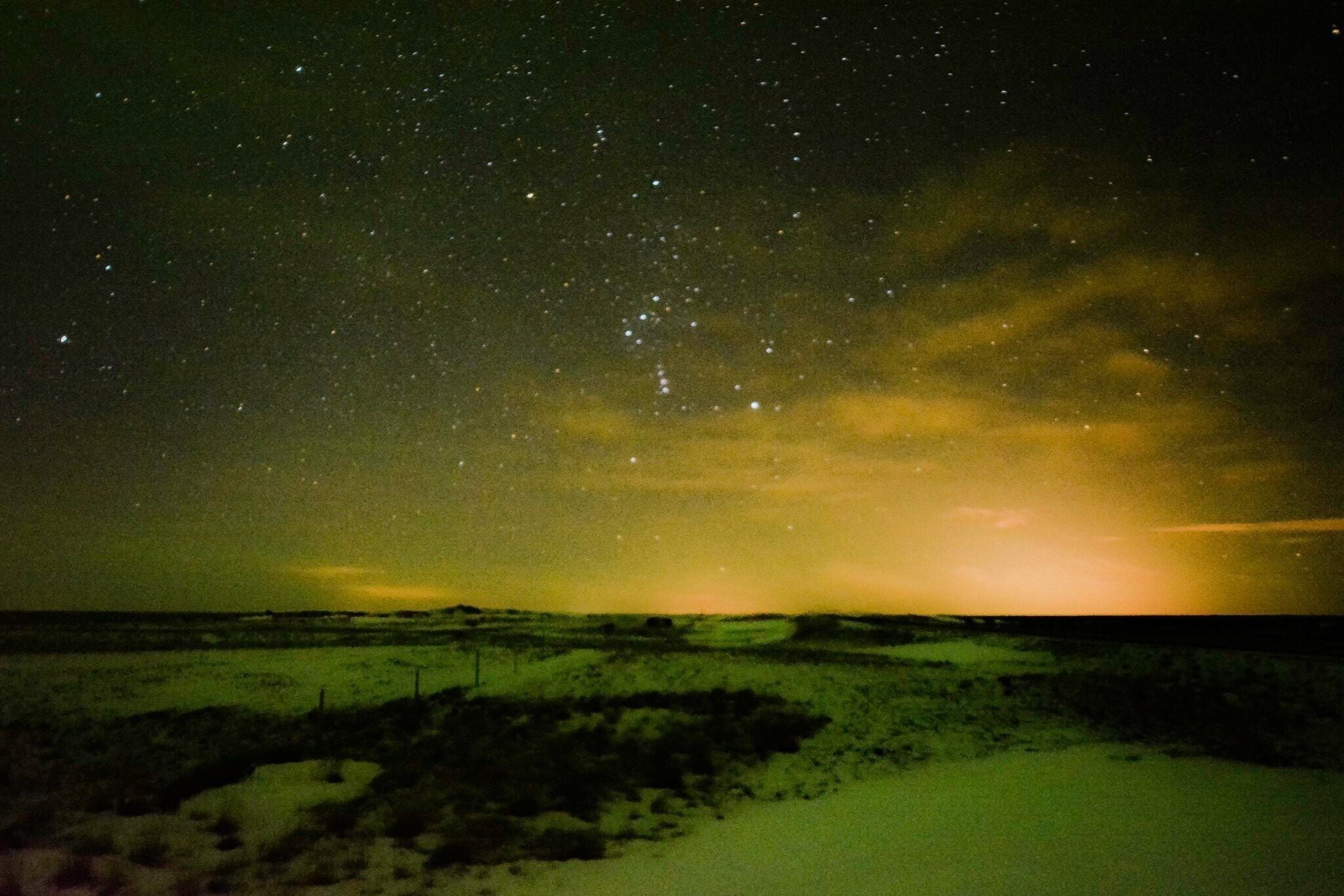 A starry night sky over a grassy landscape.