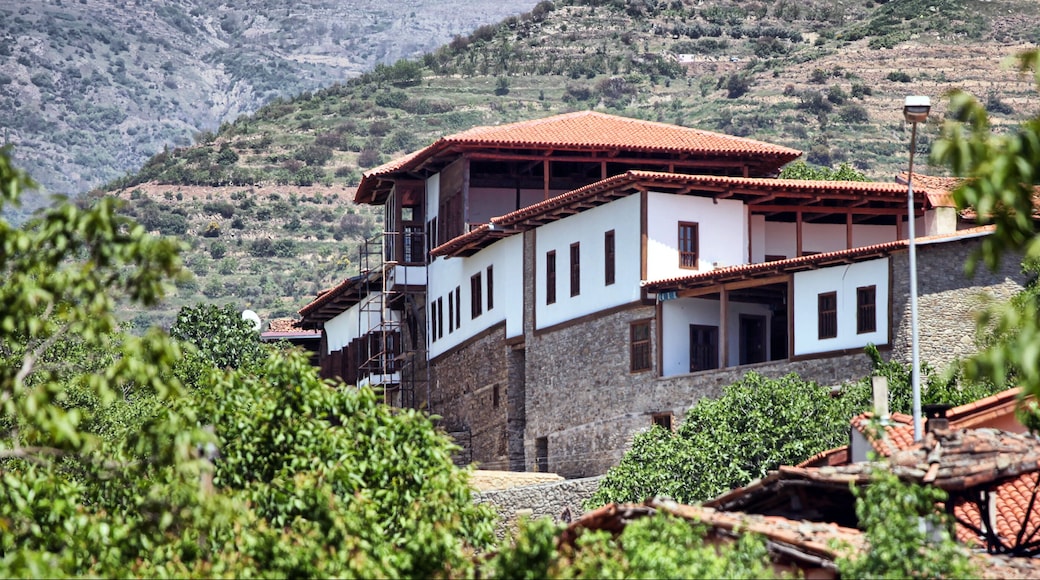 Traditional Turkish Homes in Birgi, Izmir, Turkey