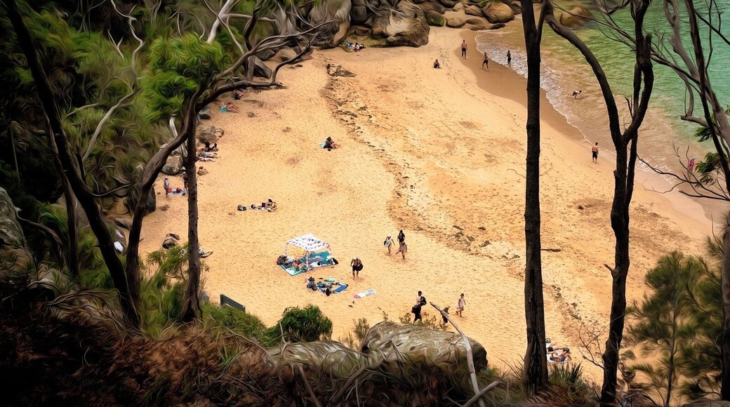 West Head Beach.
If you don't mind a bush walk to avoid the masses, this beach is worth it