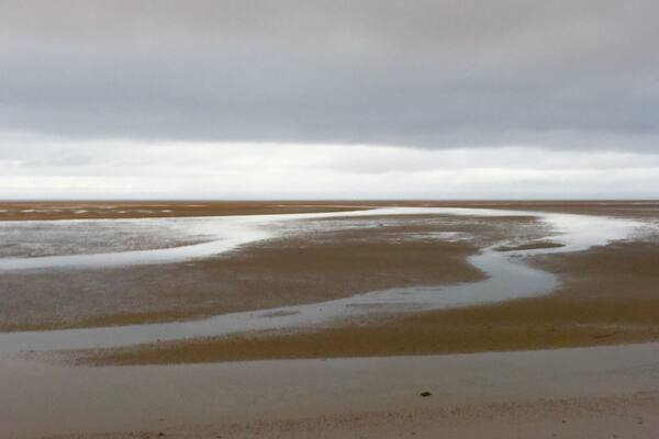 I went into the Westfjords with 3 points of interest. Dynjandi, Latrabarg, and the beautiful beach called Raudisandur... Or red beach... For the beautiful red sand. The drive to get here however was the final straw for me. It was just as bad if not even a touch worse than my experience on the road to Latrabarg. I really don't know what I was thinking.... Well, I was thinking I had a goal in mind and set out to do it... But wow... I seriously thought I was going to die on this road. And being in the middle of no where with few other cars randomly present... No one would ever know!!! Seriously, so crazy. I did make it to the other side though, but then it got confusing. I really really wanted to walk on and along this beach... But was then starting to stress about having enough gas, and how long it would take to get back in order to catch the ferry over to the Snaefellness pen. ... So I managed to get this picture of the beautiful sand, but then turned around to do that stressful drive at a snails pace.
Tips though in case you go.... Once you reach the bottom of the mountain pass you go over the road will fork. It looks like you need to go right. If you go right, you drive along the beach but there is enough spots of water you can't actually get to the beach. You will however find a cafe with restrooms down that way. You can the walk really far from there to get to the sand.... Or to actually get on the beach/sand at that fork you need to go LEFT. You'd never guess it though as its then quite the drive around another ways to then get to the other side of the beach, in which you park and can apparently just walk right into the beach there. I didn't make it that far though, as like I said,I started to stress about time. I only allotted about an hour here which was a huge mistakes Id say allot at least two if not three to really relax, explore, walk around, maybe get a cup of coffee.it did look very unique and very very beautiful though, even from afar!
#waterlust
