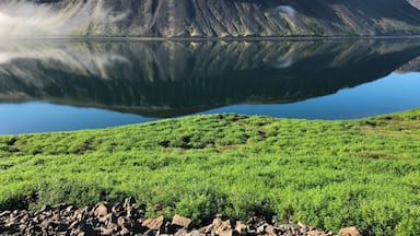 A mountain reflected in a calm lake with green vegetation in the foreground.