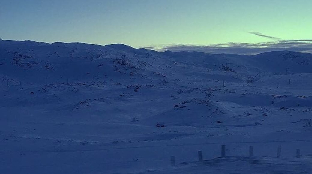 On the train near Finse, Norway, the highest elevated train station. The landscape was extremely Arctic and the sky looked a little #green