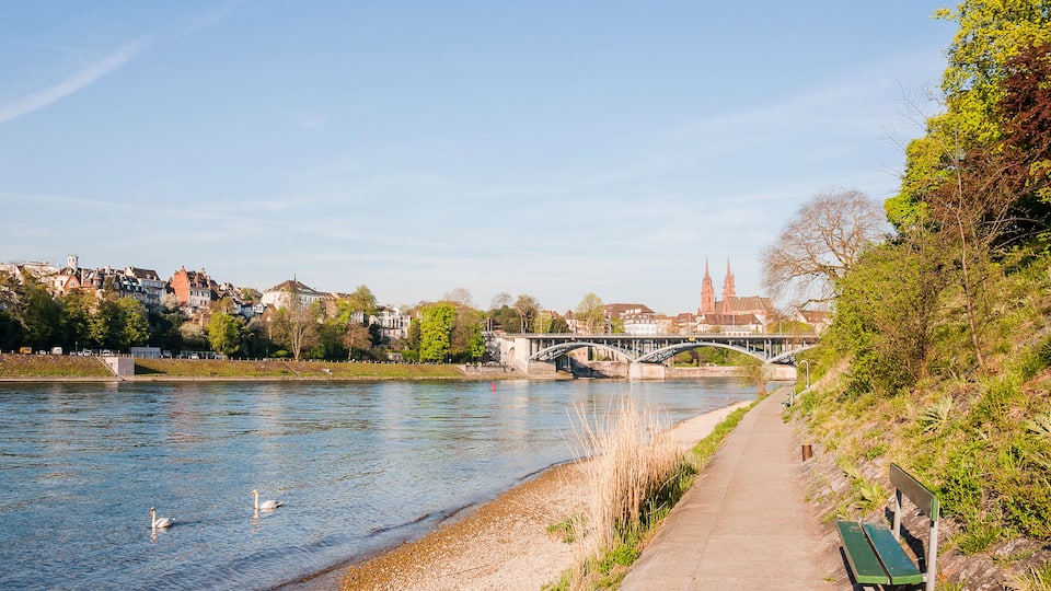 Basel, Stadt, Altstadt, Basel-Stadt, Rhein, Rheinufer Fluss, Kleinbasel, Grossbasel, Wettsteinbrücke, Münster, Kirche, Frühling, Schweiz