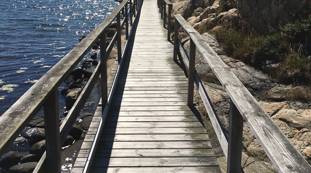 West of Goteborg, in Torslanda, just before the ferry to Okero, there is a small beach and wonderful nature walk leading away into the woods.