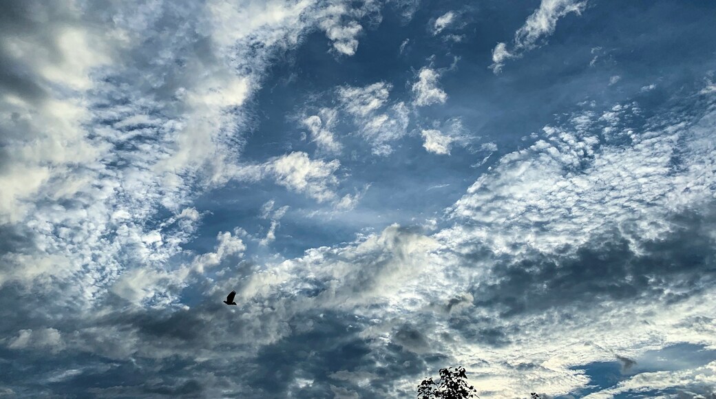 Let nature show some magic...
#weather #delhi #monsoons #nature #sassilysolo #photography #iPhoneXR #love