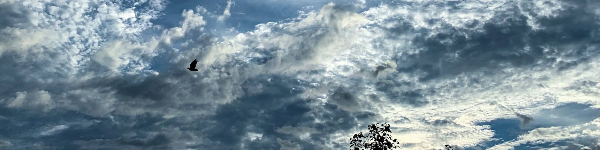 Let nature show some magic...
#weather #delhi #monsoons #nature #sassilysolo #photography #iPhoneXR #love