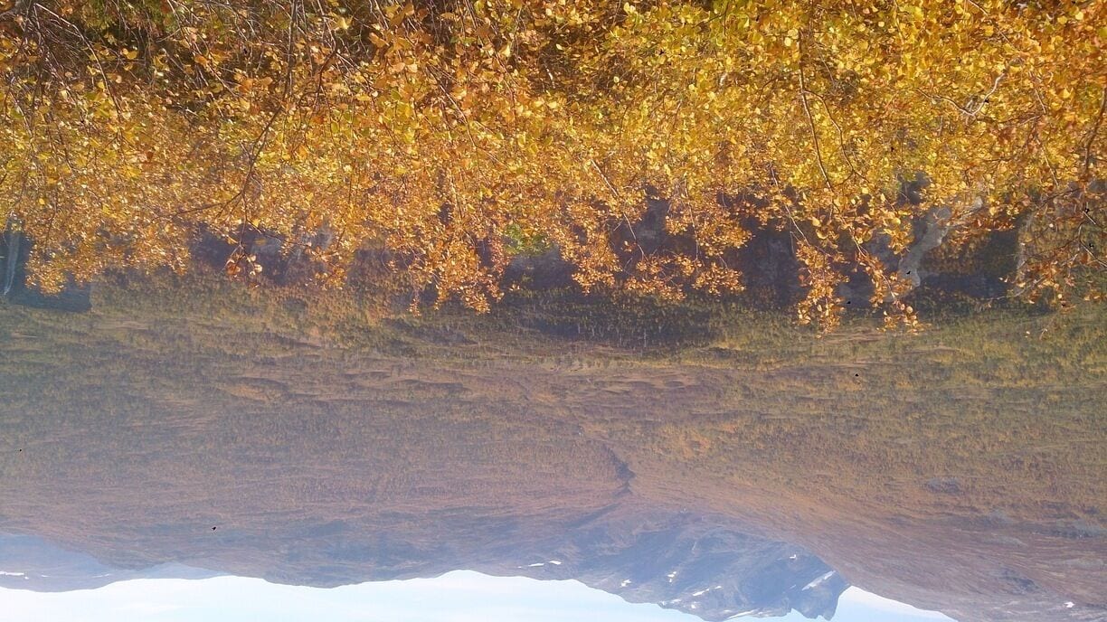 The plateau 650 m above sea level