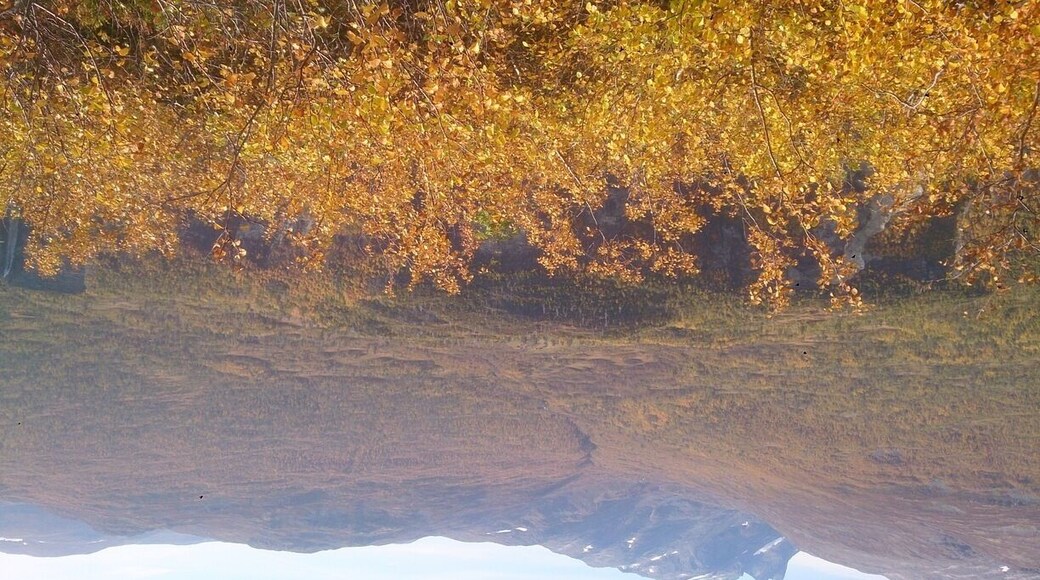 The plateau 650 m above sea level